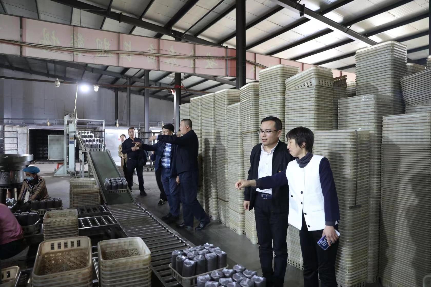 【主题教育】诸侯快讯ok1122深入拜泉县开展调查研究